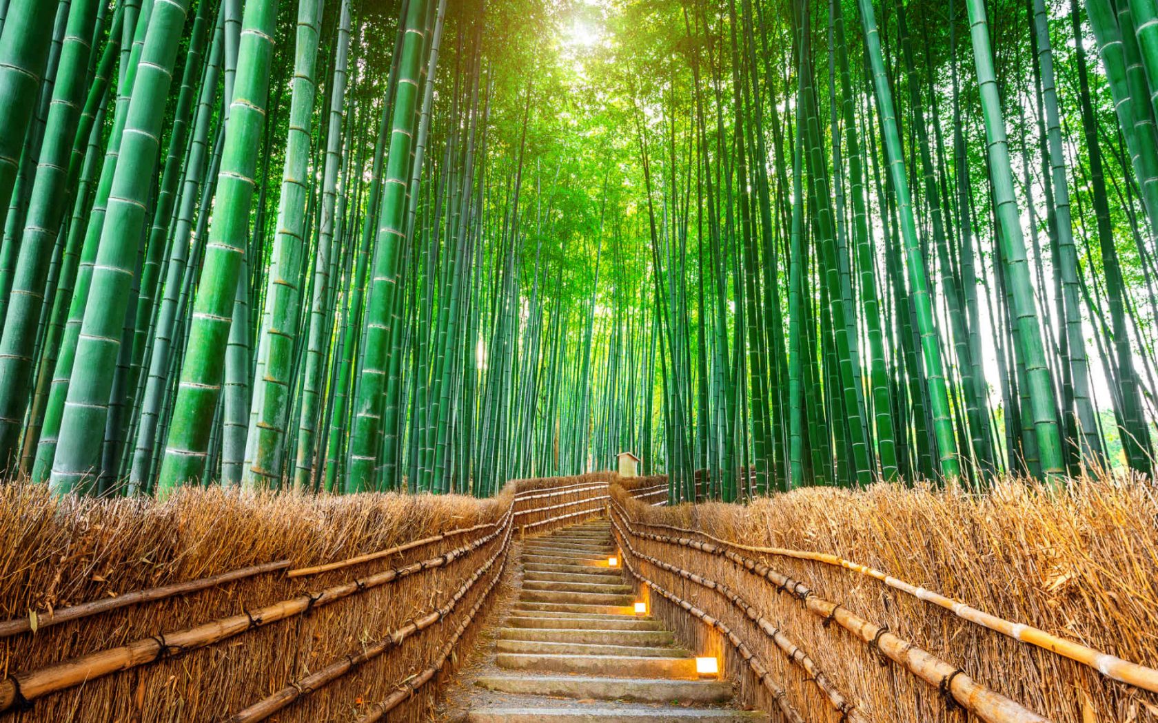 Westgate Japan Bamboo